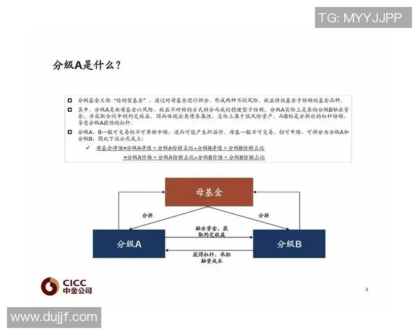 重磅专题：上海排球队的转换革新